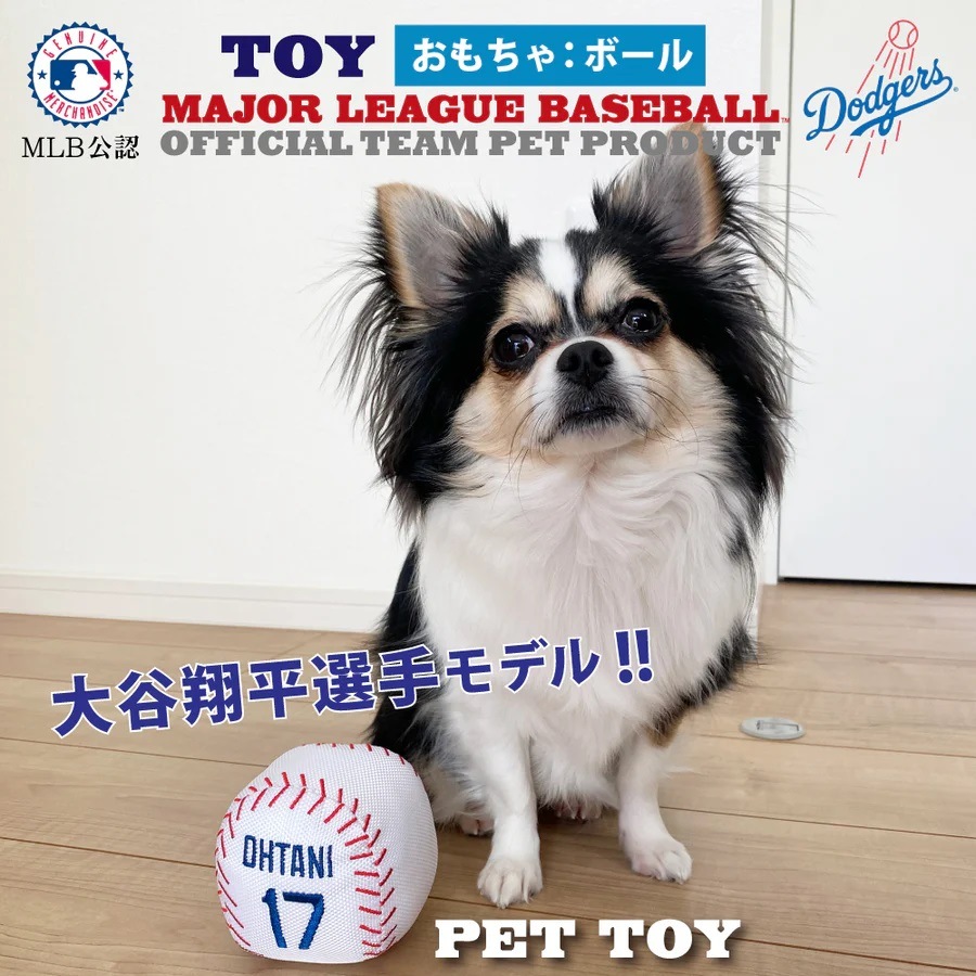 激レア☆ 大谷翔平 ファイターズ×ファミリースタジアム トート