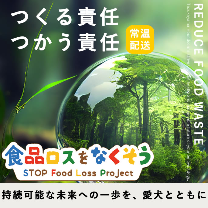 SDGs ���ʥ�����ʤ���������·�����ʡھﲹ�ءۢ����󥿡��ͥå���ʸ���꾦��