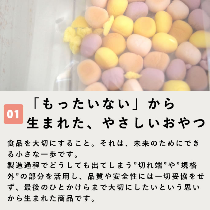 SDGs ���ʥ�����ʤ���������·�����ʡھﲹ�ءۢ����󥿡��ͥå���ʸ���꾦��