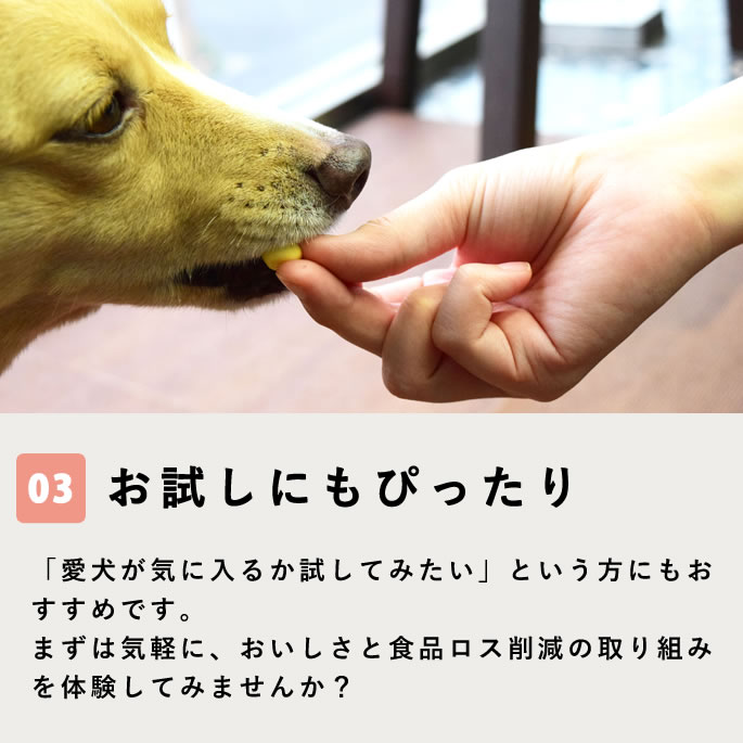 SDGs ���ʥ�����ʤ���������·�����ʡھﲹ�ءۢ����󥿡��ͥå���ʸ���꾦��