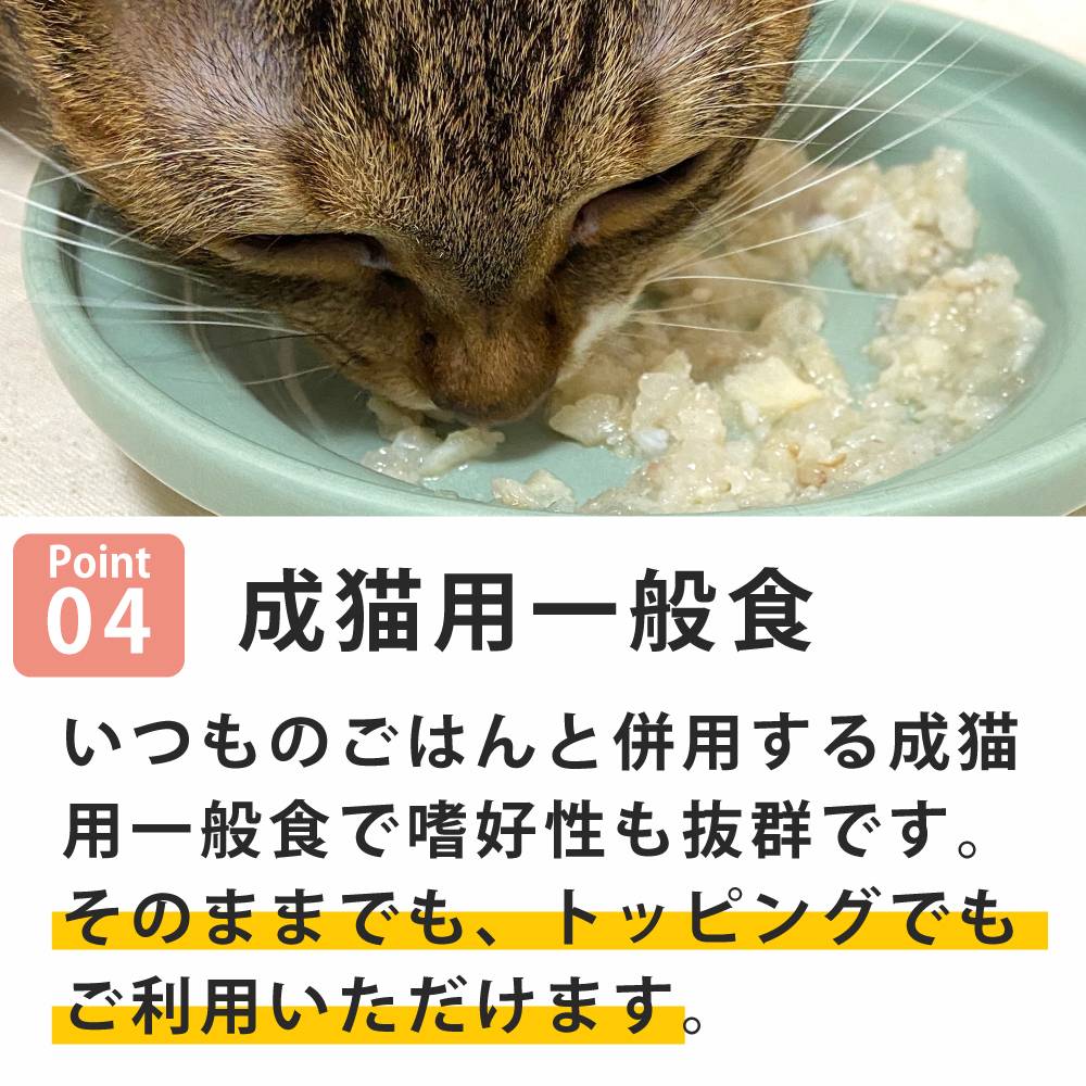 ǭ���ʥ����륳���ɡ�NCP11���䡡��ʿ������ �ѥ��������ס�70g����ǭ�ѡ����̿��������ꥢ�֥��ɡ��̵͡ʥե졼�������ס�
