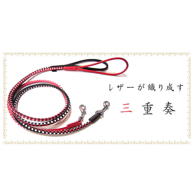 緿ѥ꡼ɡASHUԥå[꡼]