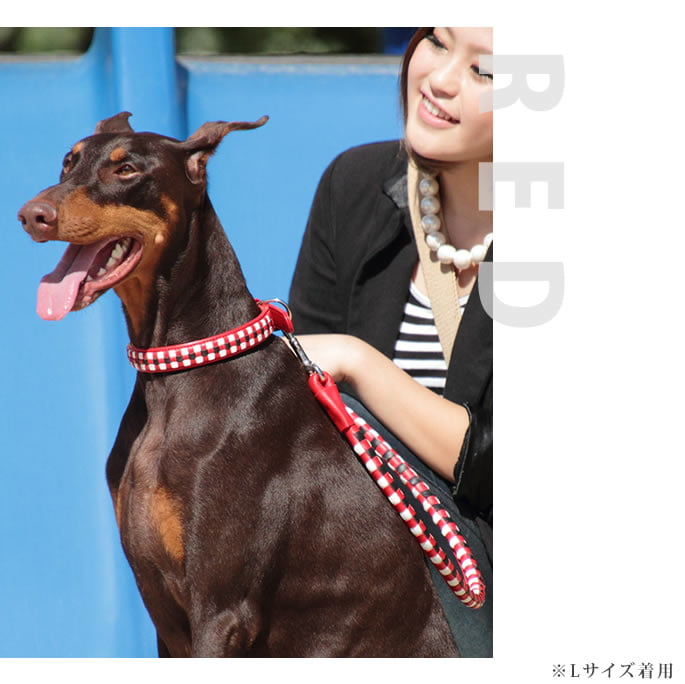 緿ѥ꡼ɡASHUԥå[꡼]