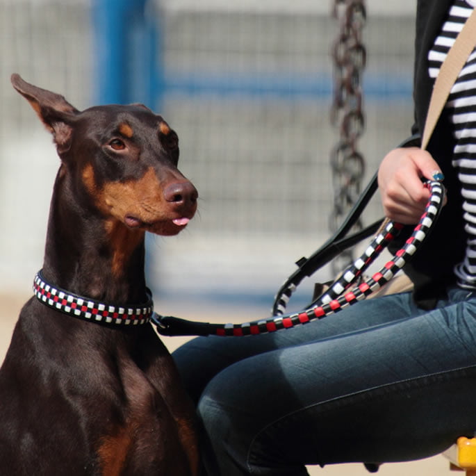 緿ѥ꡼ɡASHUԥå[꡼]