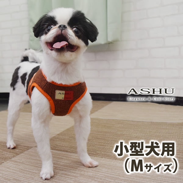 ASHUϡͥ ⡼ M()ڥ꡼ɤ