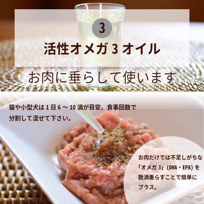 ǤϤ۸ǭ ñ꿩Υå / ñȺ