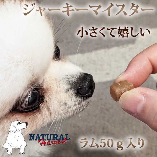 �ʥ�����ϡ��٥��� ����ġå��㡼�����ޥ�����������ࡡ���ѥ��㡼����