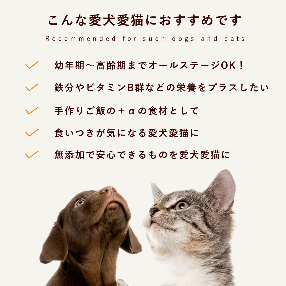 ǭѼ꿩 ṾΥСѥ ڥϥɥ࿩Ʋ ء