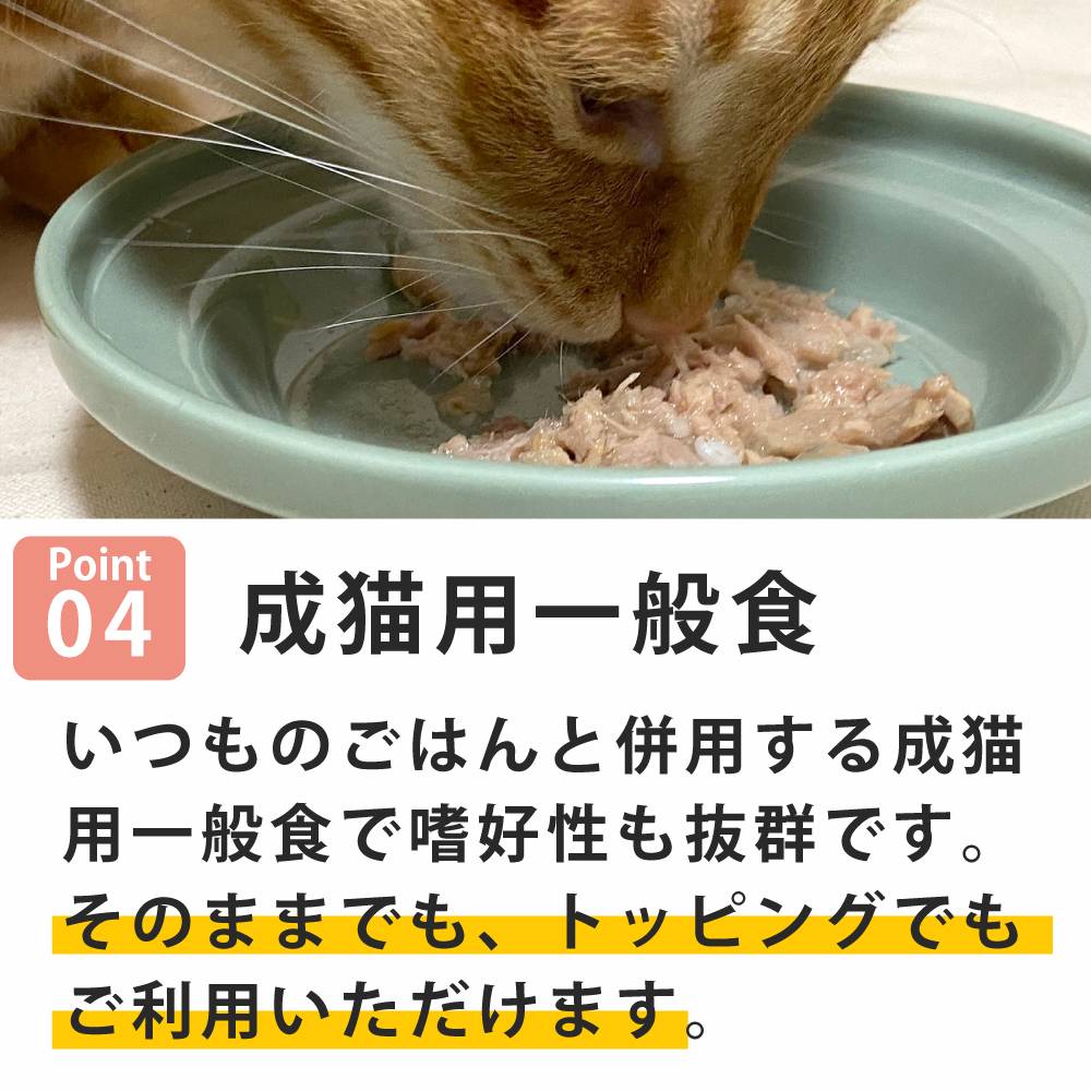 ǭ���ʥ����륳���ɡ�NCP13���ޥ���������������� �ѥ��������ס�70g����ǭ�ѡ����̿��������ꥢ�֥��ɡ��̵͡ʥե졼�������ס�