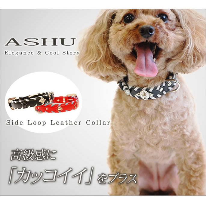 �������Ѽ��ء�ASHU�������ɥ롼�ץ쥶�����顼��������S��