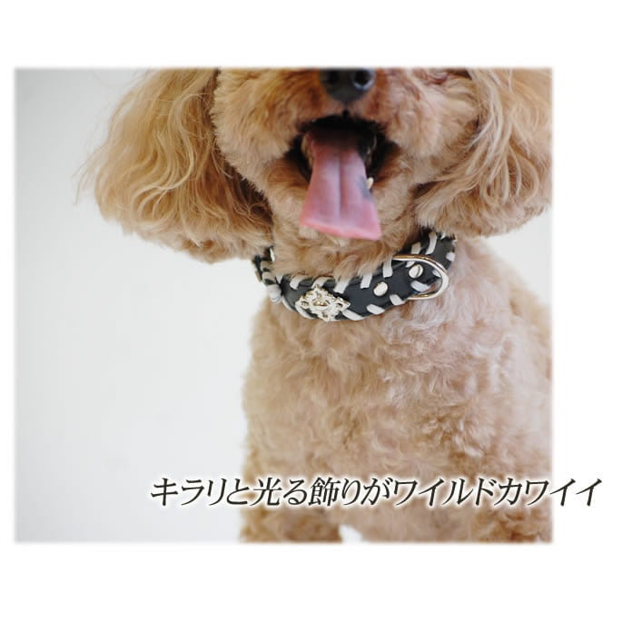 �������Ѽ��ء�ASHU�������ɥ롼�ץ쥶�����顼��������S��