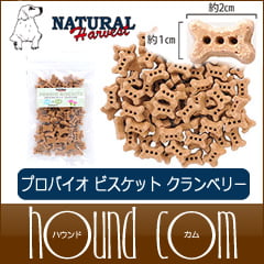 �ʥ�����ϡ��٥��� | �� ����� | �ץ��Х����ӥ����å� | �����٥꡼