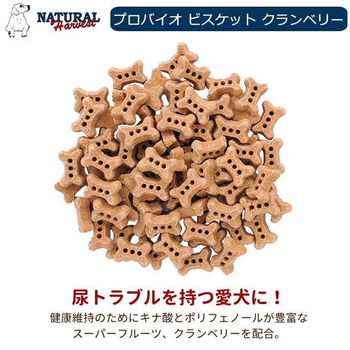 �ʥ�����ϡ��٥��� | �� ����� | �ץ��Х����ӥ����å� | �����٥꡼