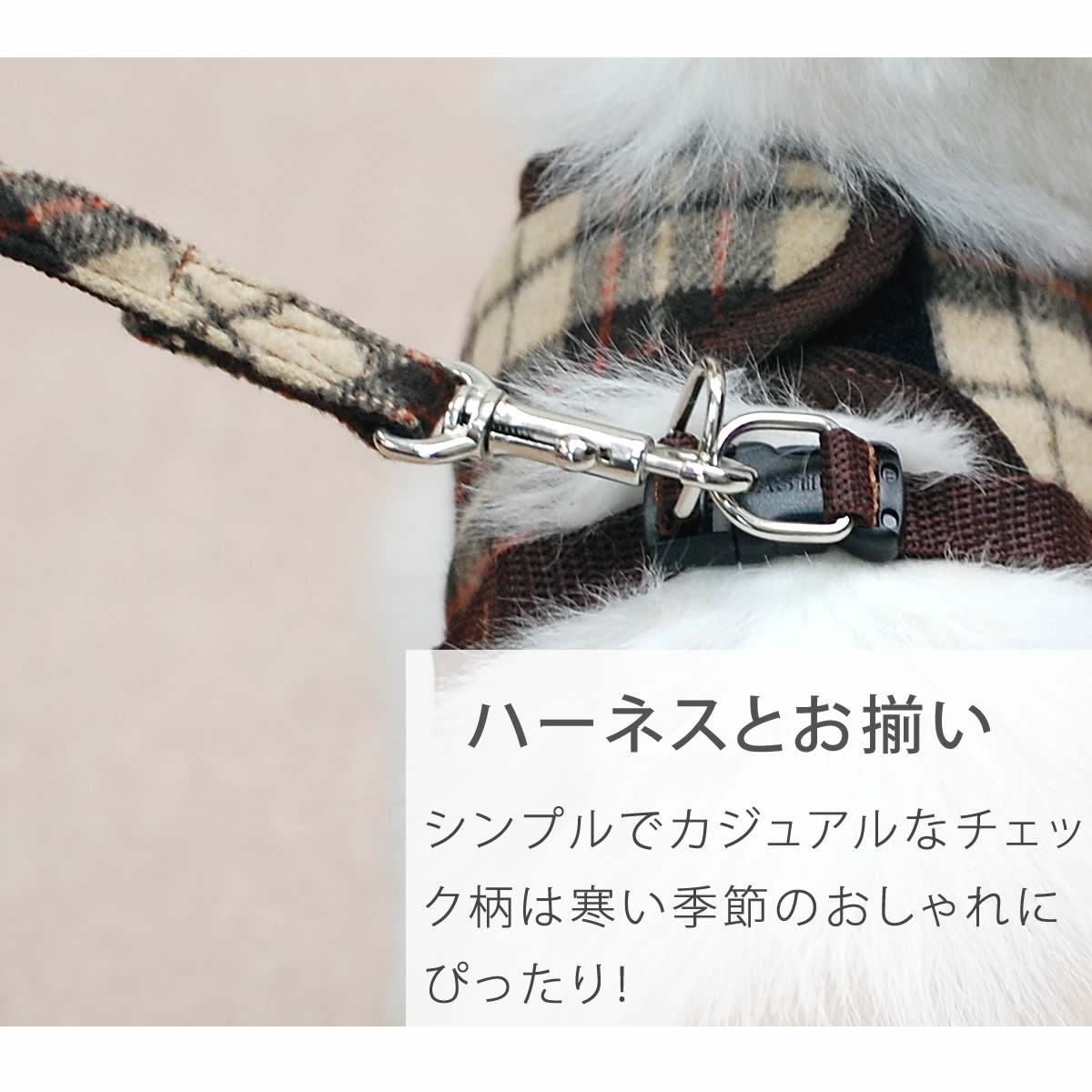 ASHUϡͥ åѥ꡼ M(淿)ڥϡ̵ͥۢʤ꼡轪λ