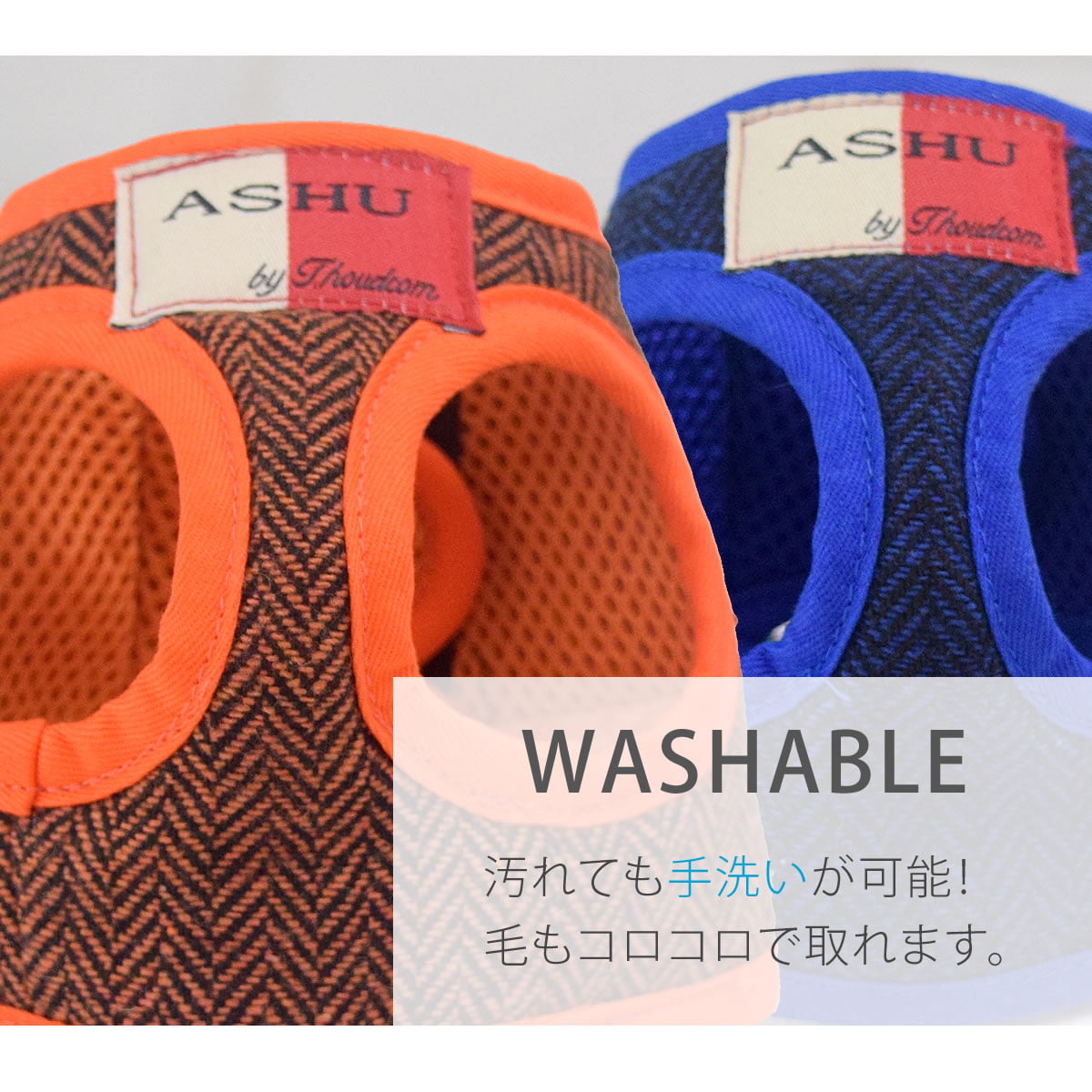 ASHUϡͥ ⡼ L(淿)ڥ꡼ɤ