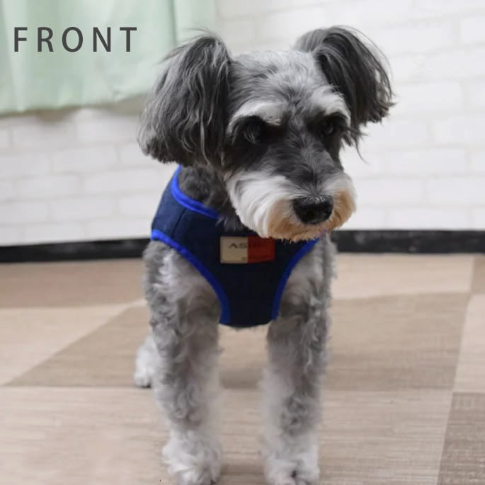 ASHUϡͥ ⡼ L(淿)ڥ꡼ɤ