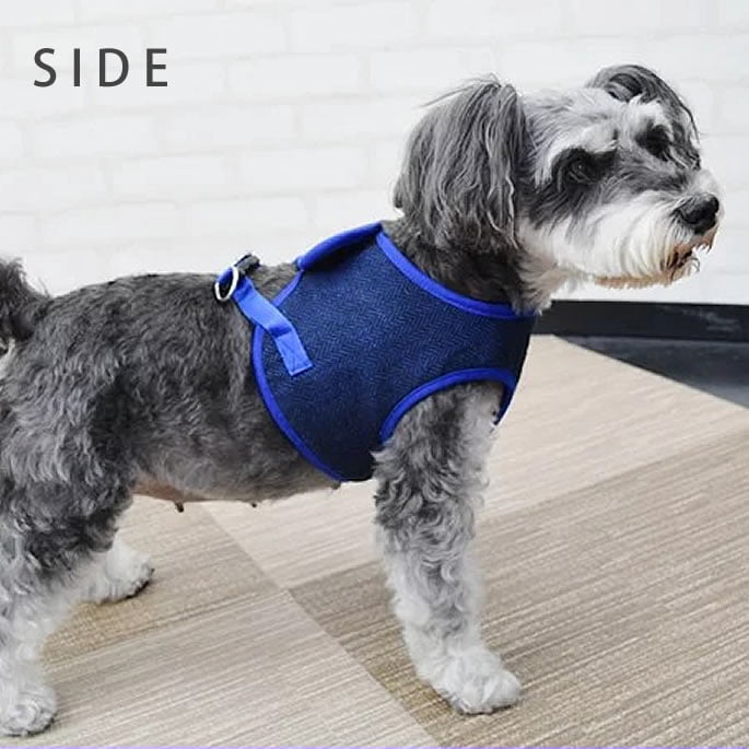 ASHUϡͥ ⡼ L(淿)ڥ꡼ɤ