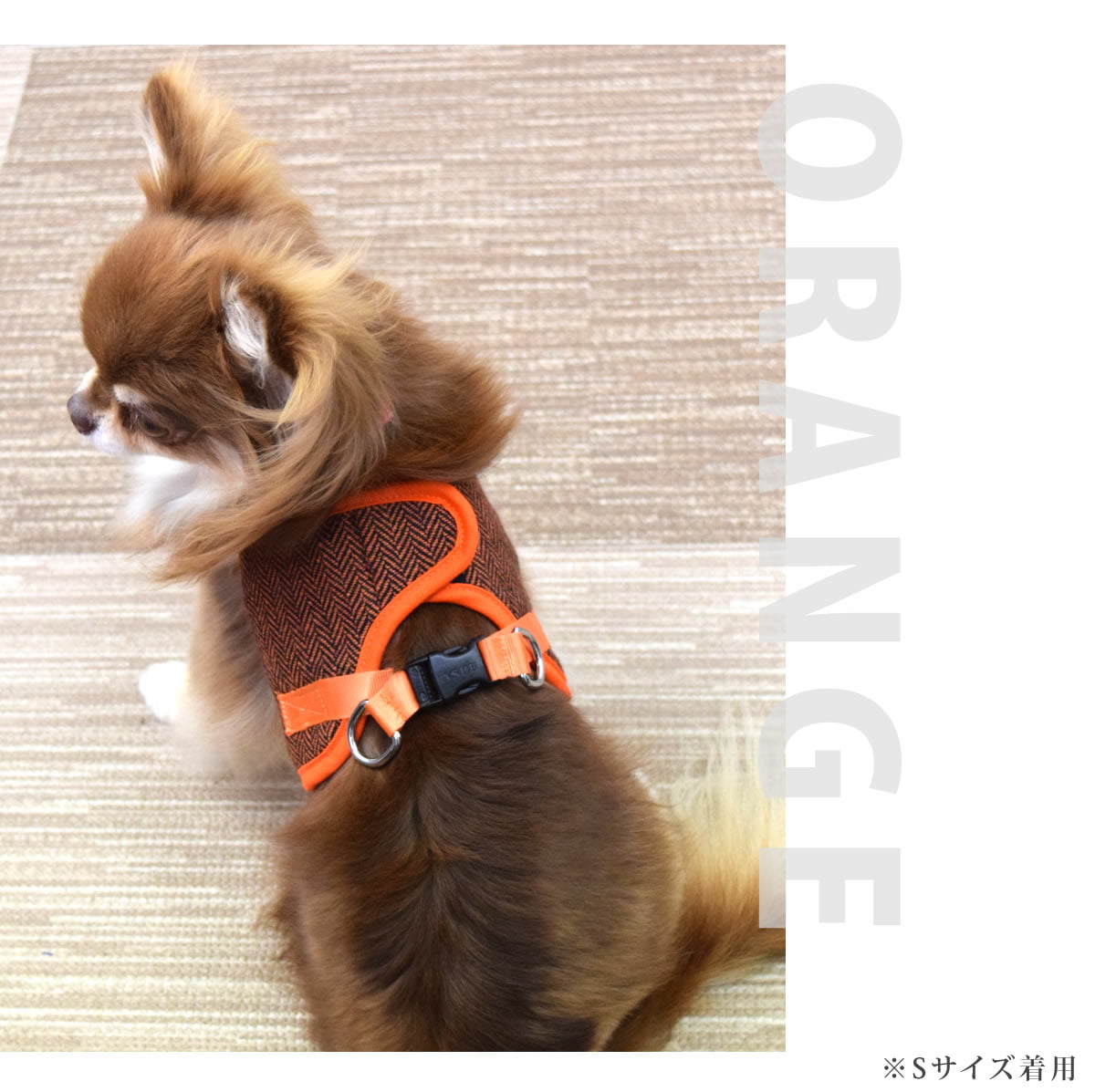 ASHUϡͥ ⡼ L(淿)ڥ꡼ɤ