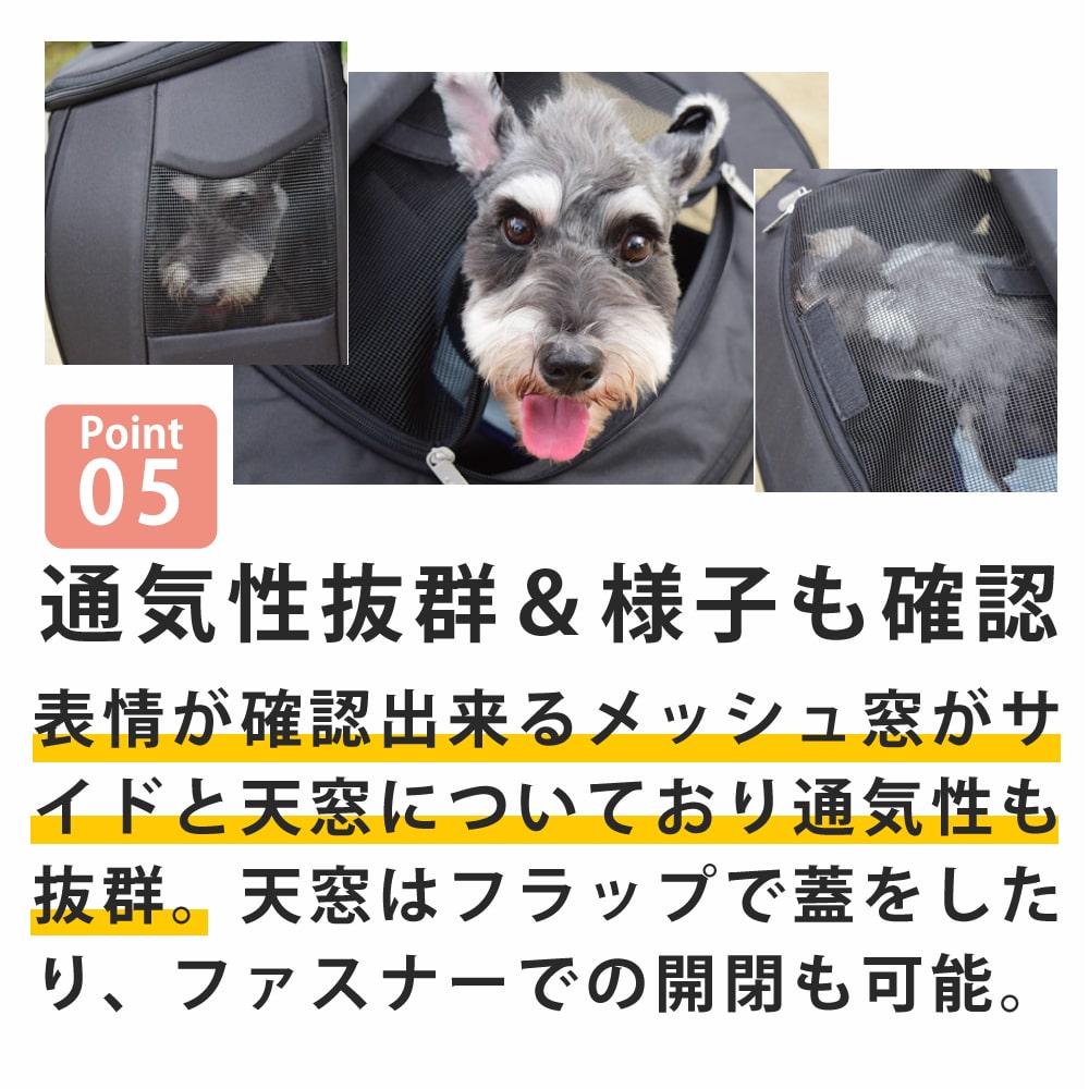 �ڥåȥ���꡼�Хå� �������ȥϡ��� L������(�Хå��Τ�)���ɥ饤������/�֥�å�/�ǥ˥ࡡ��ǭ���������淿���� ���å��ڥХå���������W530��D300��H320��