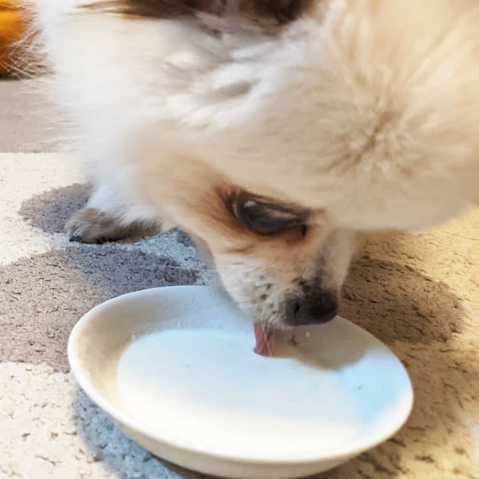 �ʥ�����ϡ��٥��ȡ��ߥ륯������ �Ҹ�����ǭ�ѥߥ륯����ǭ�ѡ���ǭ�ѱ��ܴ��Ŭ��������ܿ�