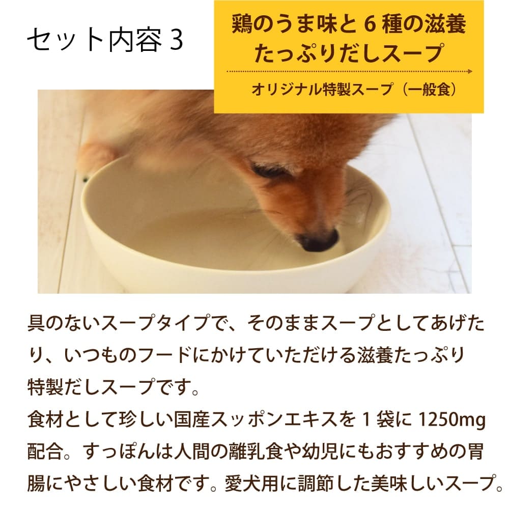 ������ �͵��Υ��ꥸ�ʥ��ȥ�ȥѥ����������ȥ��åȡ�8���ॻ�åȡ�