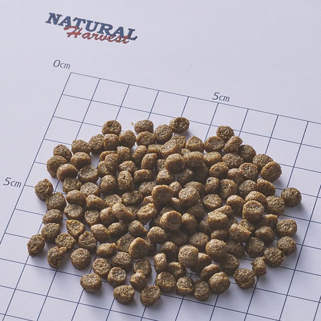 ʥϡ٥ ޥȥ1[1.1kg]NEWѥå