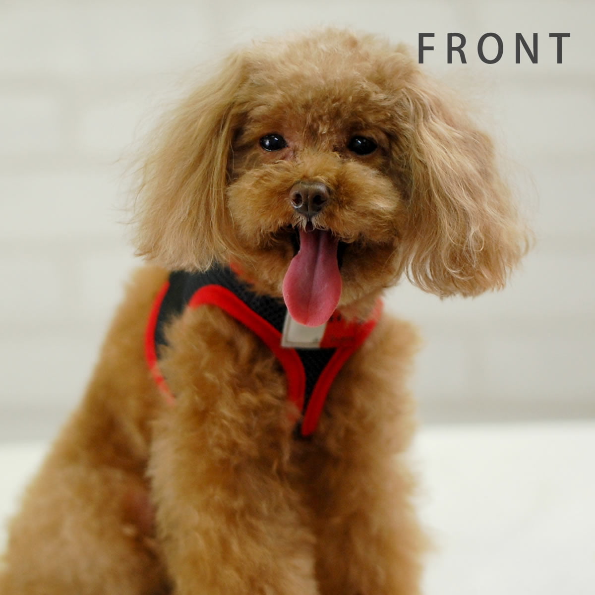 ���ѥϡ��ͥ����꡼�ɥ��åȡ�ASHU���������ϡ��ͥ� ��å�����꡼�ɥ��åȡ�SS��Ķ��������