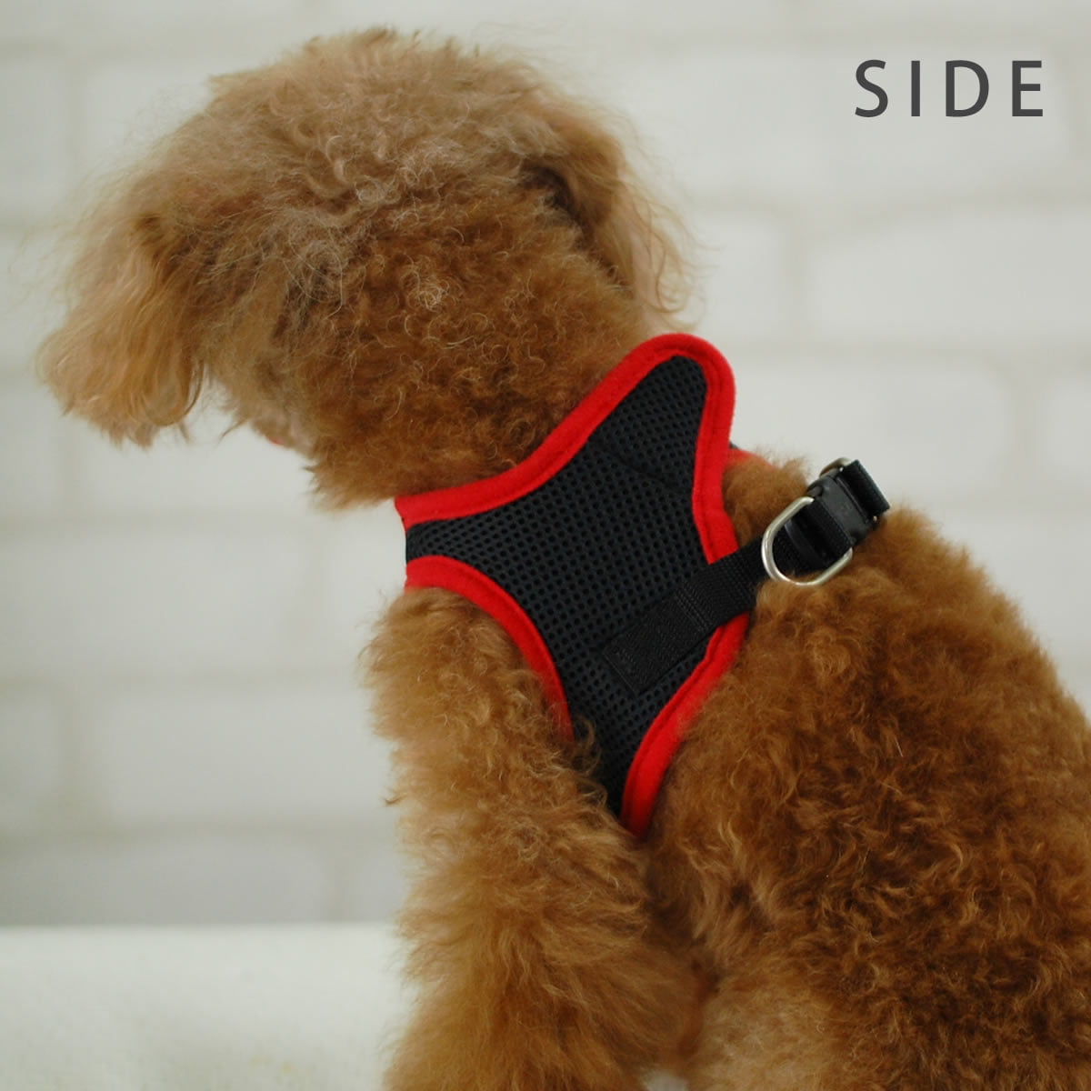 ���ѥϡ��ͥ����꡼�ɥ��åȡ�ASHU���������ϡ��ͥ� ��å�����꡼�ɥ��åȡ�SS��Ķ��������