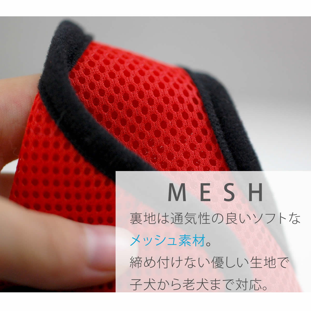 ���ѥϡ��ͥ����꡼�ɥ��åȡ�ASHU���������ϡ��ͥ� ��å�����꡼�ɥ��åȡ�SS��Ķ��������