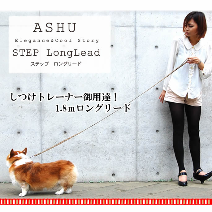 ���ѥ��󥰥꡼�ɡ�ASHU��STEP�����ƥåס����󥰥꡼�� 1.8��