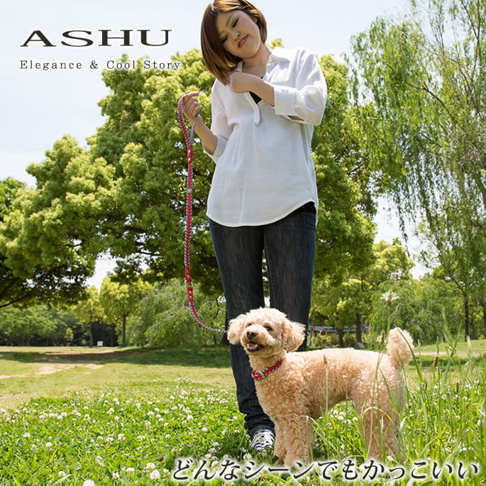 超小型犬用首輪｜ASHU サイドループレザーカラー サイズSS