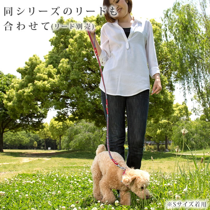 超小型犬用首輪｜ASHU サイドループレザーカラー サイズSS