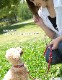 Ķ�������Ѽ��ء�ASHU�������ɥ롼�ץ쥶�����顼��������SS