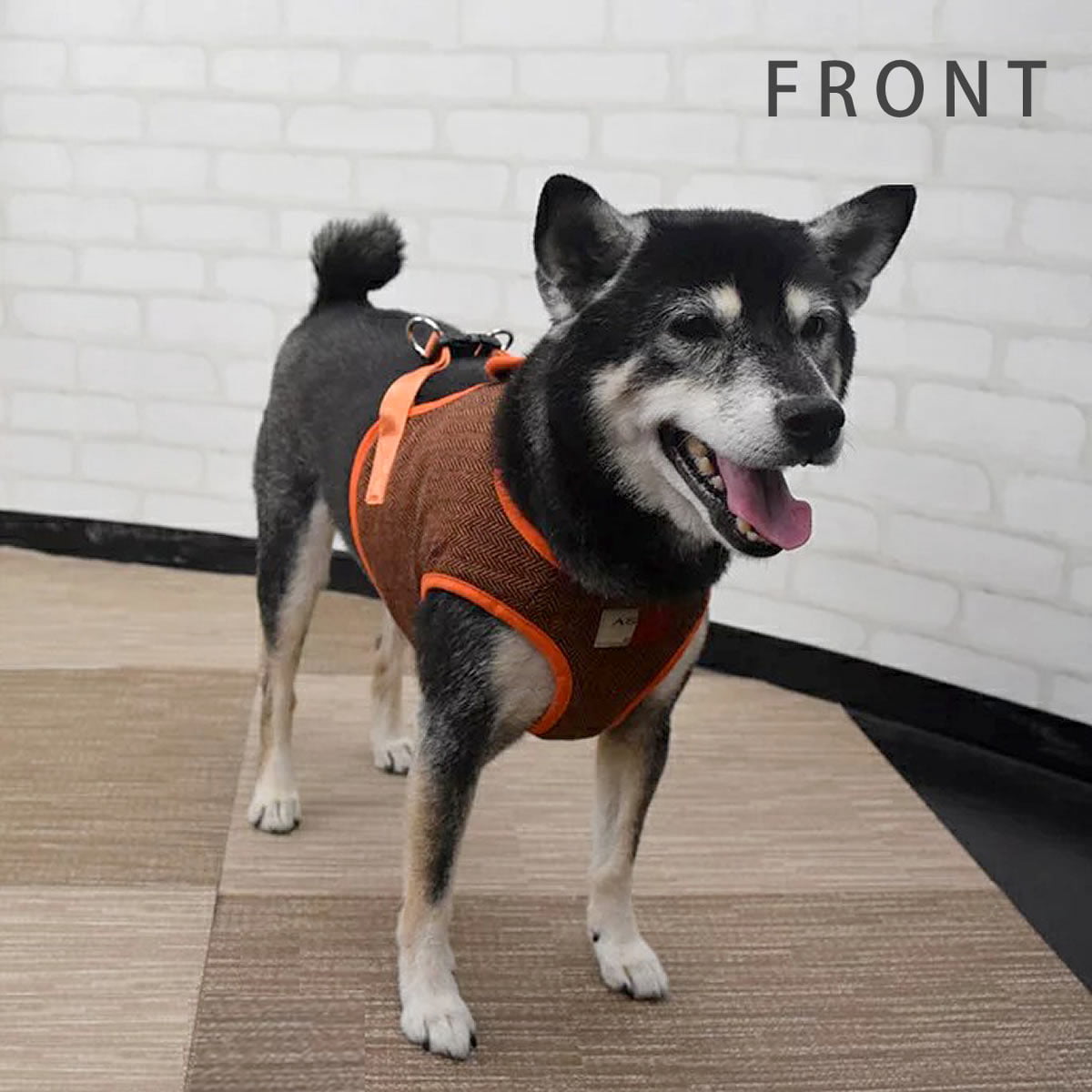 ASHUϡͥ ⡼ LL(淿)ڥ꡼ɤ