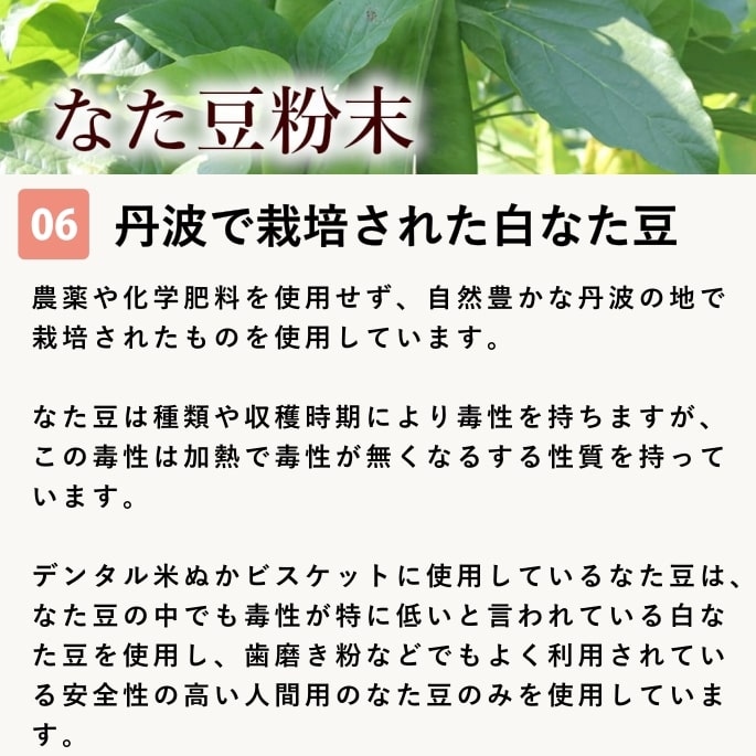 ���Ѥ���ġåǥ󥿥��Ƥ̤��ӥ����å�60g��10��+1��