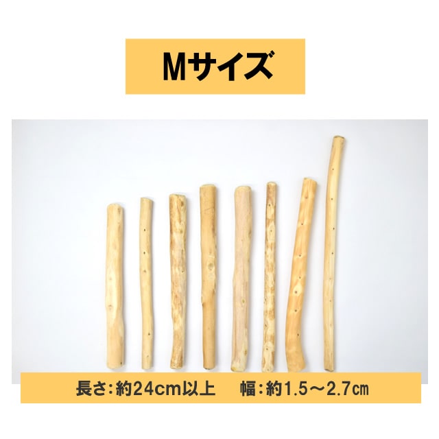 ���Ѥ������ �������ŷ���ڥǥ󥿥�ҤΤ��������� �� / M / L��1�ܡ�