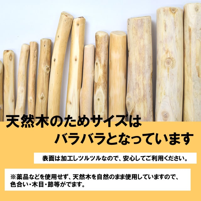 ���Ѥ������ �������ŷ���ڥǥ󥿥�ҤΤ��������� �� / M / L��1�ܡ�