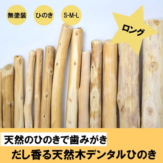 ���Ѥ������ �������ŷ���ڥǥ󥿥�ҤΤ��������� �� / M / L��1�ܡ�