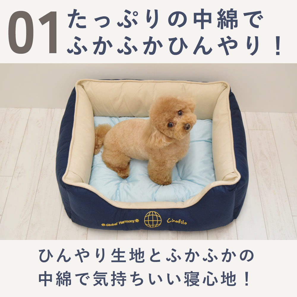  ѥ٥å COOL㺮̵ϥ٥å M/L ͥӡ ڥΥե۽ղ