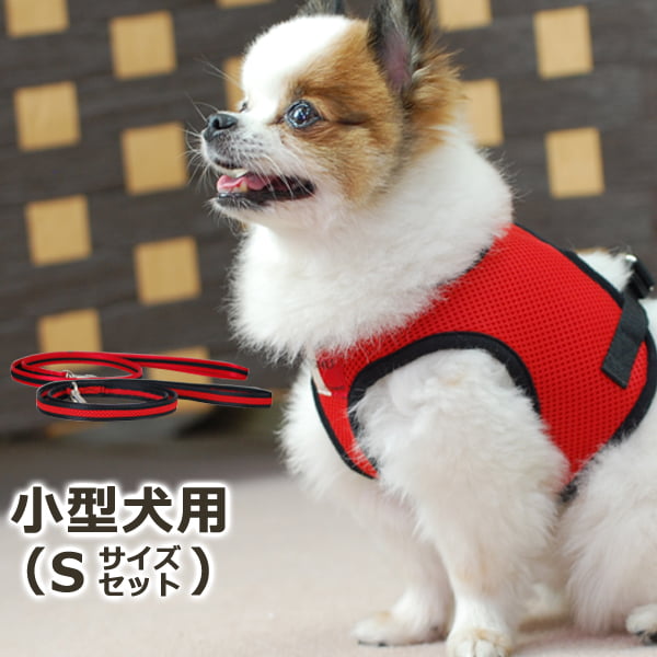 ѥϡͥ꡼ɥåȡASHUϡͥ å꡼ɥåȡS