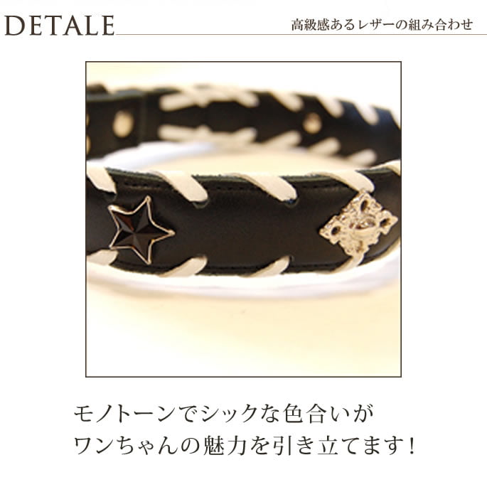 【新品未使用】AMUBIS 首輪 ASHU 犬 首輪 ワンライン カラーMサイズ : 安心おやつ歯みがき