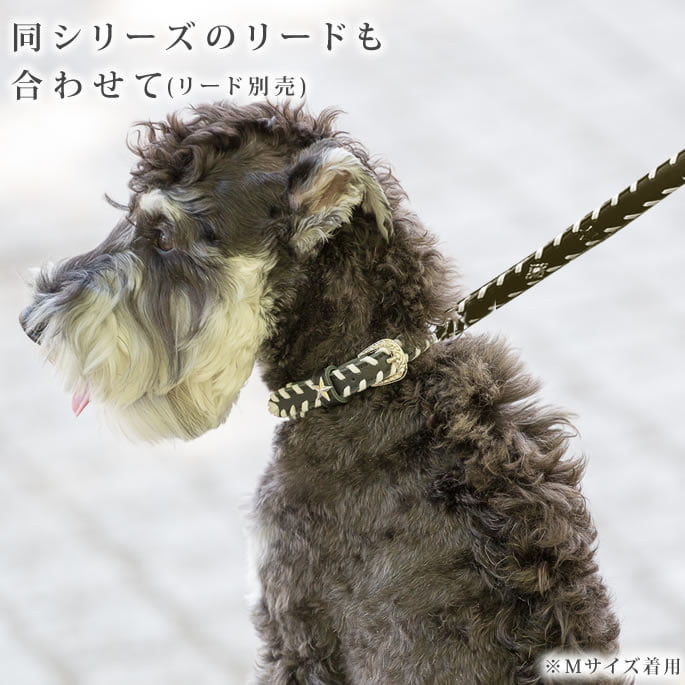 中型犬用首輪｜ASHU サイドループレザーカラー サイズM｜ドックフード