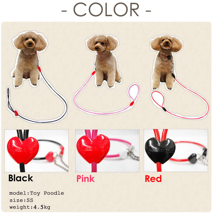 �����ɿ�꡼�ɡ�ASHU ��֥꡼�쥤��꡼�ɡ������淿����