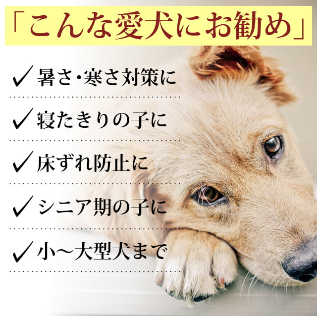 Ϸ���ѡ��ڥåȥ����ޥå�NEO��S��������|���˥������ֲ����ӥ�