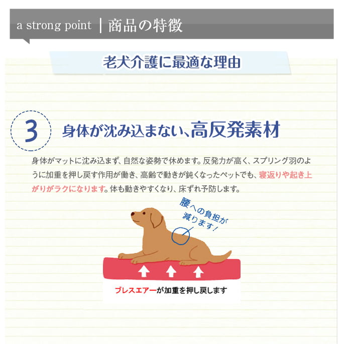 Ϸ���ѡ��ڥåȥ����ޥå�NEO��S��������|���˥������ֲ����ӥ�