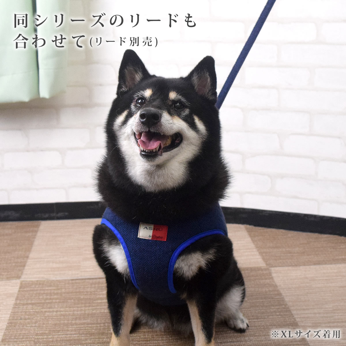 ASHUϡͥ ⡼ XL(淿)ڥ꡼ɤ