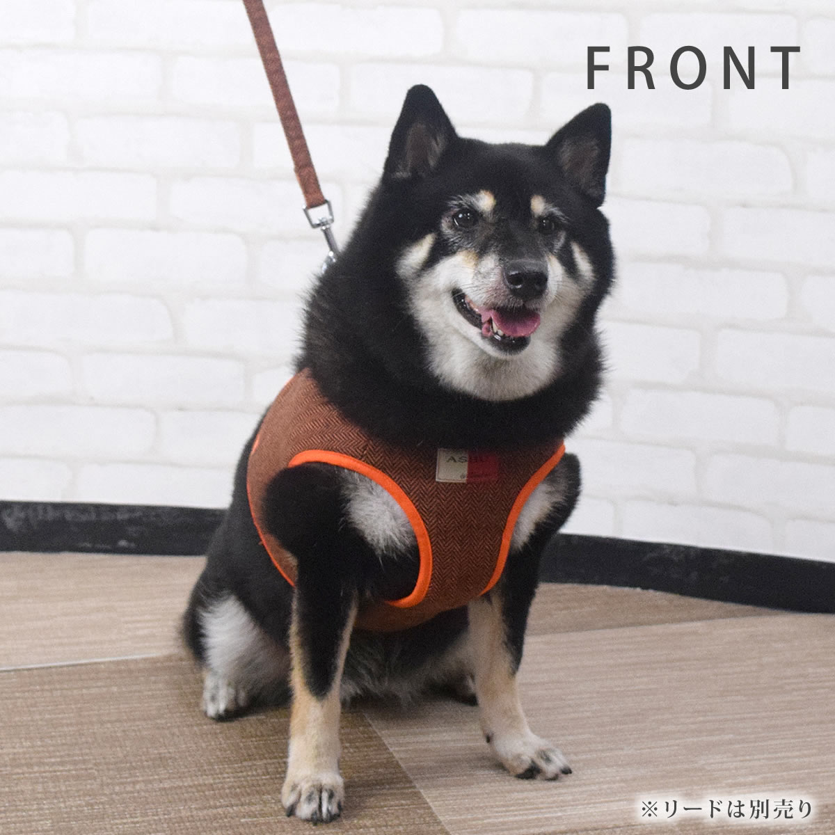 ASHUϡͥ ⡼ XL(淿)ڥ꡼ɤ