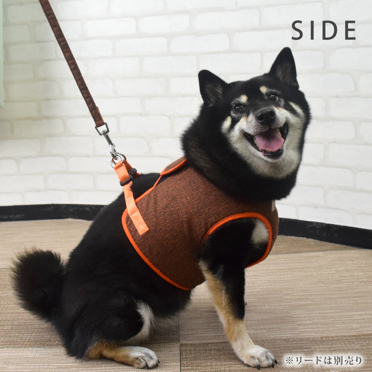 ASHUϡͥ ⡼ XL(淿)ڥ꡼ɤ