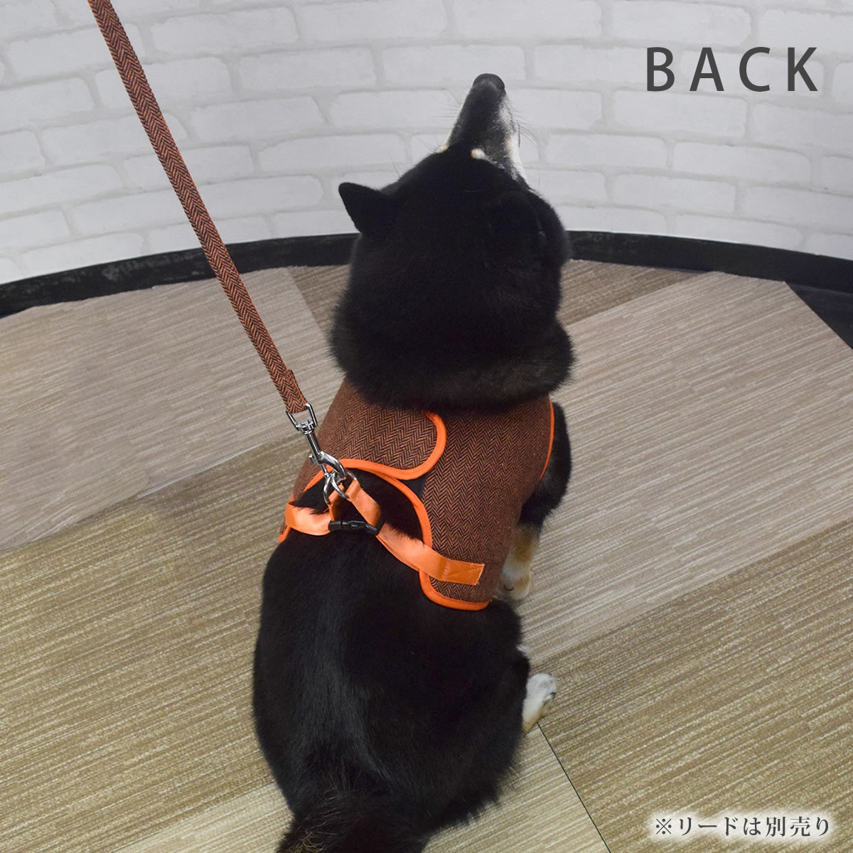 ASHUϡͥ ⡼ XL(淿)ڥ꡼ɤ