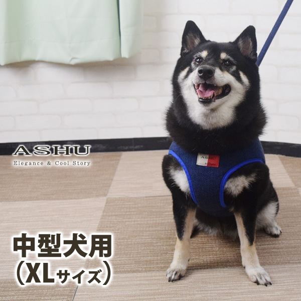 ASHUϡͥ ⡼ XL(淿)ڥ꡼ɤ